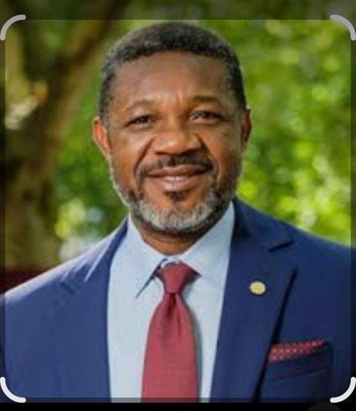 Emeritus Prof. Umezuruike Linus Opara